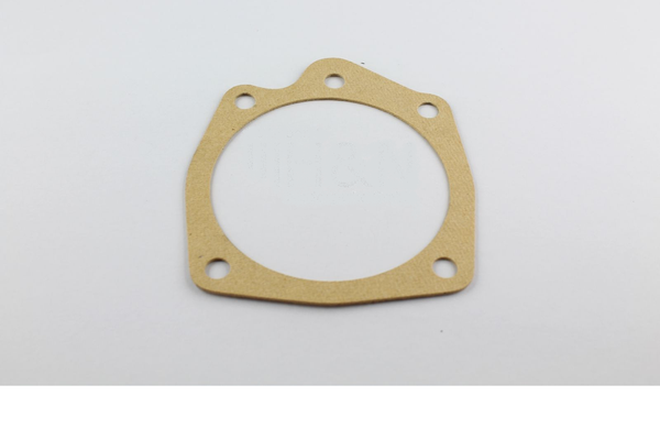 WATER PUMP GASKET - 124 <1968 1973