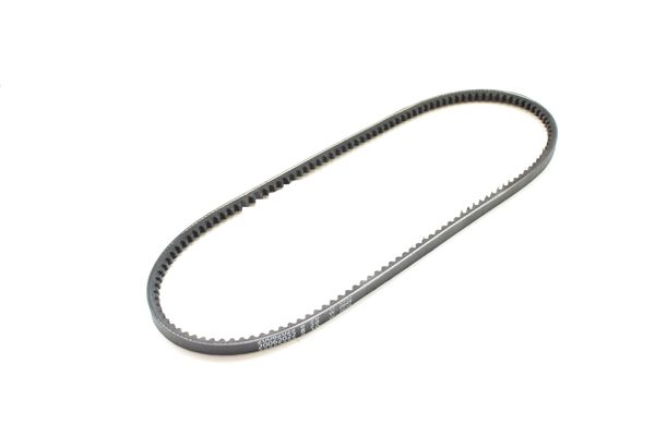 FAN BELT 124 CS 10 x 865